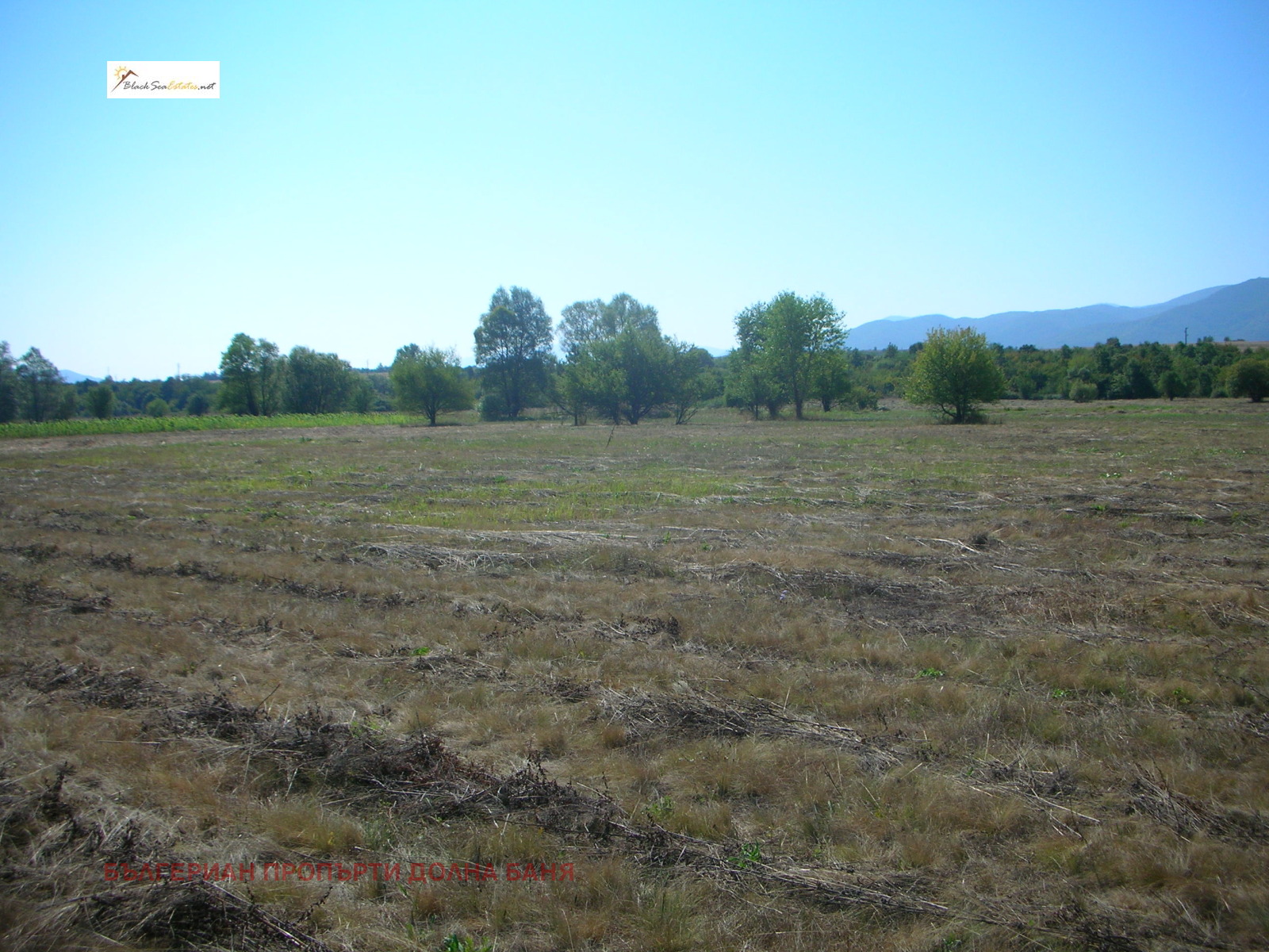 ������� ������ | Imot.bg � ����������� 3