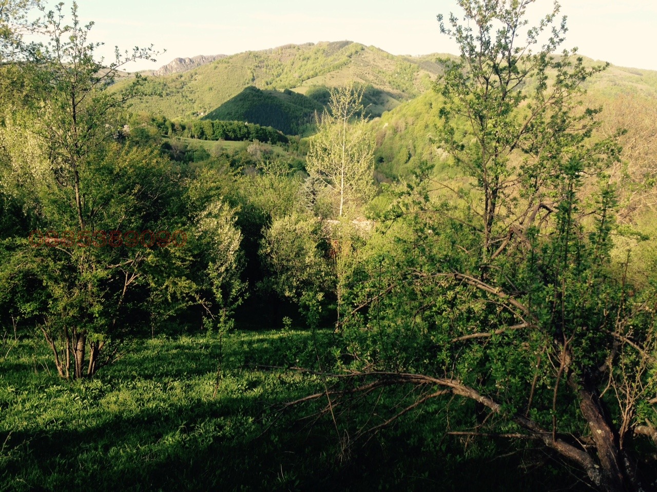 Продава ПАРЦЕЛ, с. Ямна, област София област, снимка 2 - Парцели - 53763517