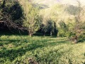 Продава  Парцел област София , с. Ямна , 2270 кв.м | 55295399 - изображение [4]