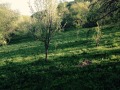 Продава  Парцел област София , с. Ямна , 2270 кв.м | 55295399