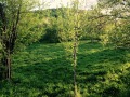 Продава  Парцел област София , с. Ямна , 2270 кв.м | 55295399 - изображение [3]