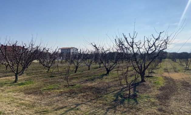 Продава ПАРЦЕЛ | Imot.bg — изображение 13