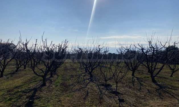 Продава ПАРЦЕЛ | Imot.bg — изображение 9