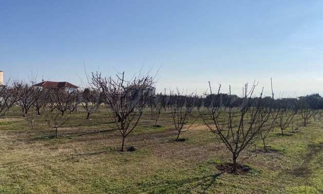 Продава ПАРЦЕЛ | Imot.bg — изображение 16