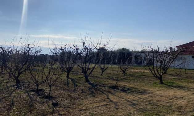 Продава ПАРЦЕЛ | Imot.bg — изображение 5