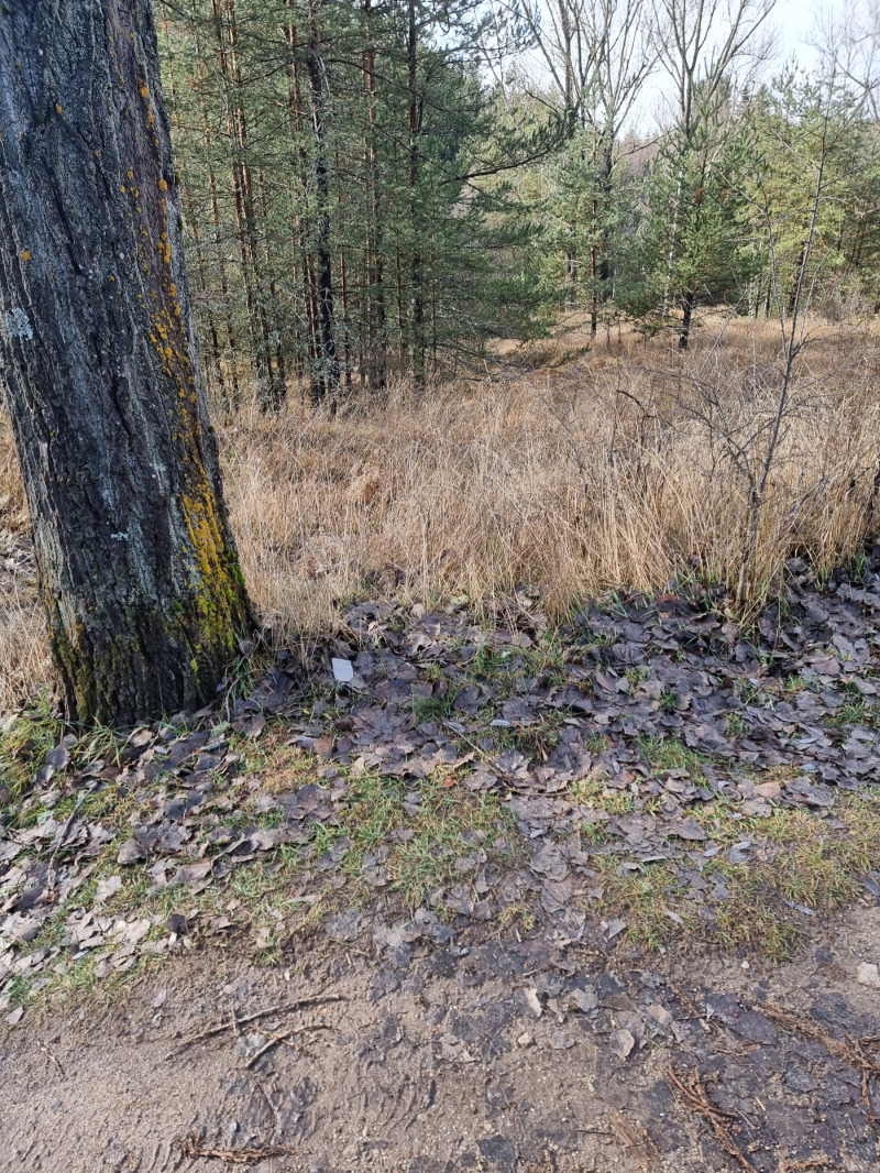 Продава ПАРЦЕЛ, гр. София, с. Плана, снимка 5 - Парцели - 52592330