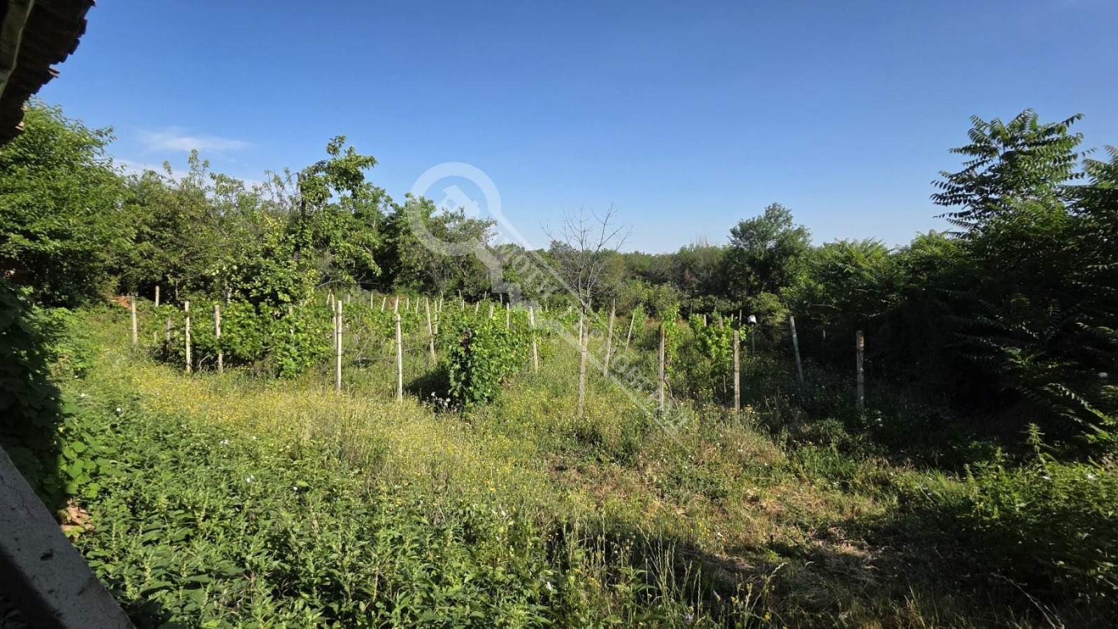 Продава КЪЩА, с. Драгижево, област Велико Търново, снимка 16 - Къщи - 53967979