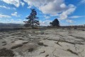 Продава ПАРЦЕЛ, с. Пчелник, област Варна, снимка 2