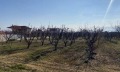 Продава ПАРЦЕЛ, Извън страната, област Извън страната, снимка 16