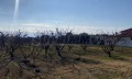 Продава ПАРЦЕЛ, Извън страната, област Извън страната, снимка 4