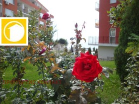  2- | Imot.bg    14