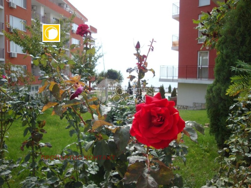 Na prodej  1 ložnice oblast Burgas , Sveti Vlas , 68 m2 | 28085646 - obraz [14]