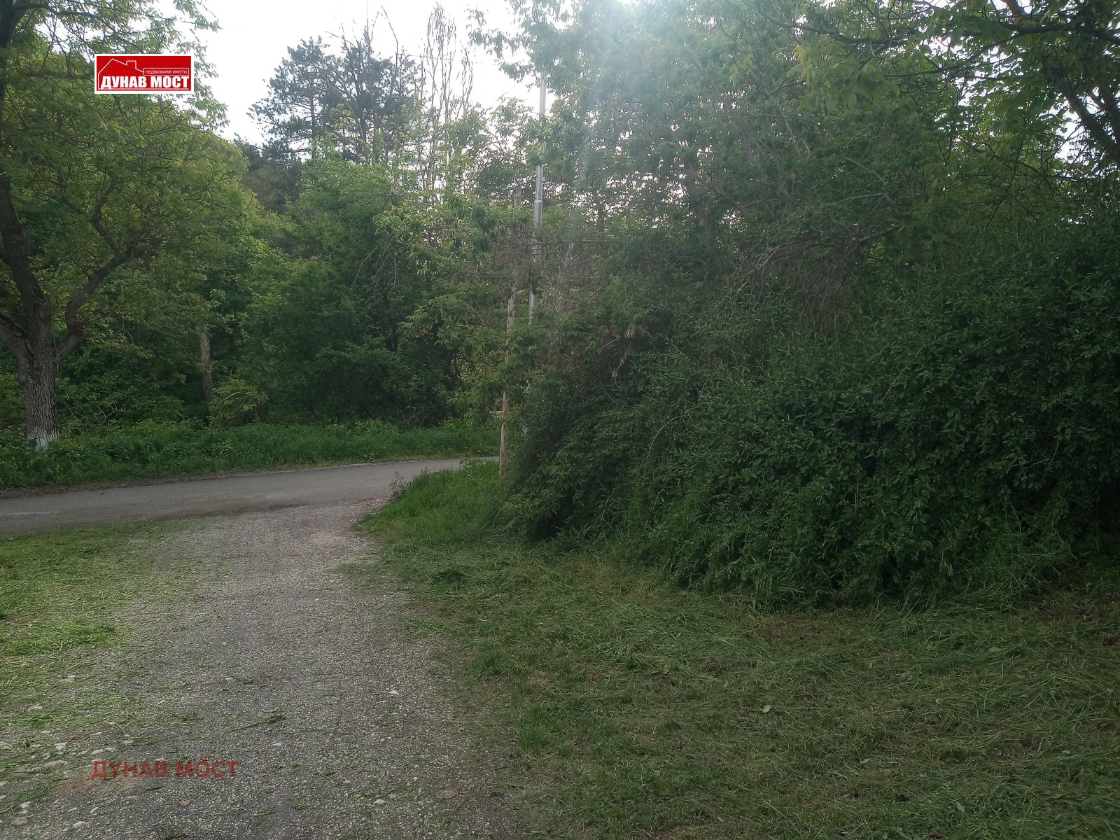 Продава КЪЩА, с. Брестовица, област Русе, снимка 2 - Къщи - 45515981