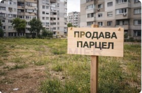 ������ ������� ������