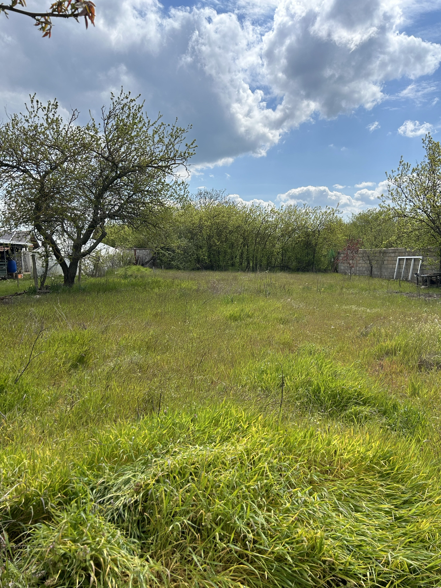 Продава ПАРЦЕЛ, с. Изгрев, област Варна, снимка 2 - Парцели - 54405694
