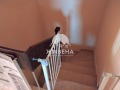 Продава КЪЩА, с. Рогачево, област Добрич, снимка 6