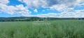 Продава КЪЩА, град Бургас, с. Маринка • 260000 € • 22508326 — Holmes.bg