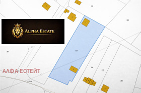 ������ ������� ������