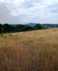 Продава ПАРЦЕЛ, град Кърджали, Веселчане • 20000 € / 39116.60 лв. • 97108148 2