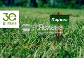 ����� ������� ������,�. ��������, ������ ������