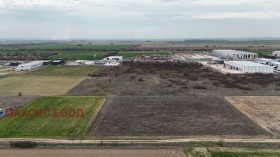 ����� ������� ������,���� �������, ��������� ����