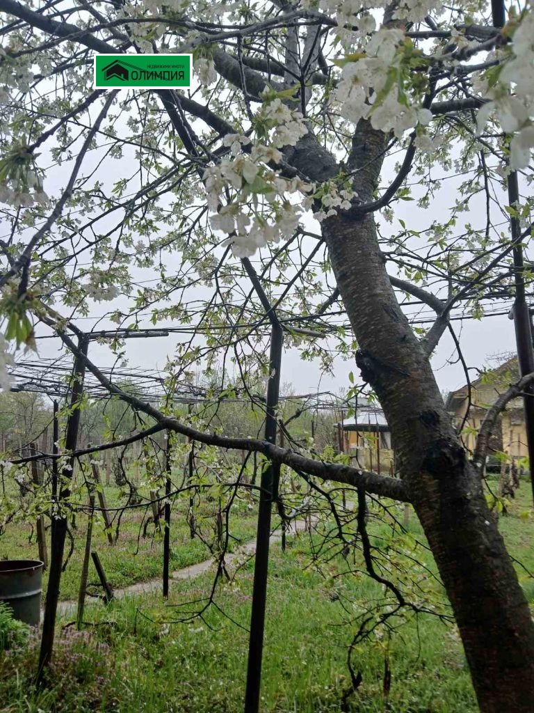 Na sprzedaż  Willa Wraca , Studentski grad , 100 mkw | 85136142 - obraz [4]