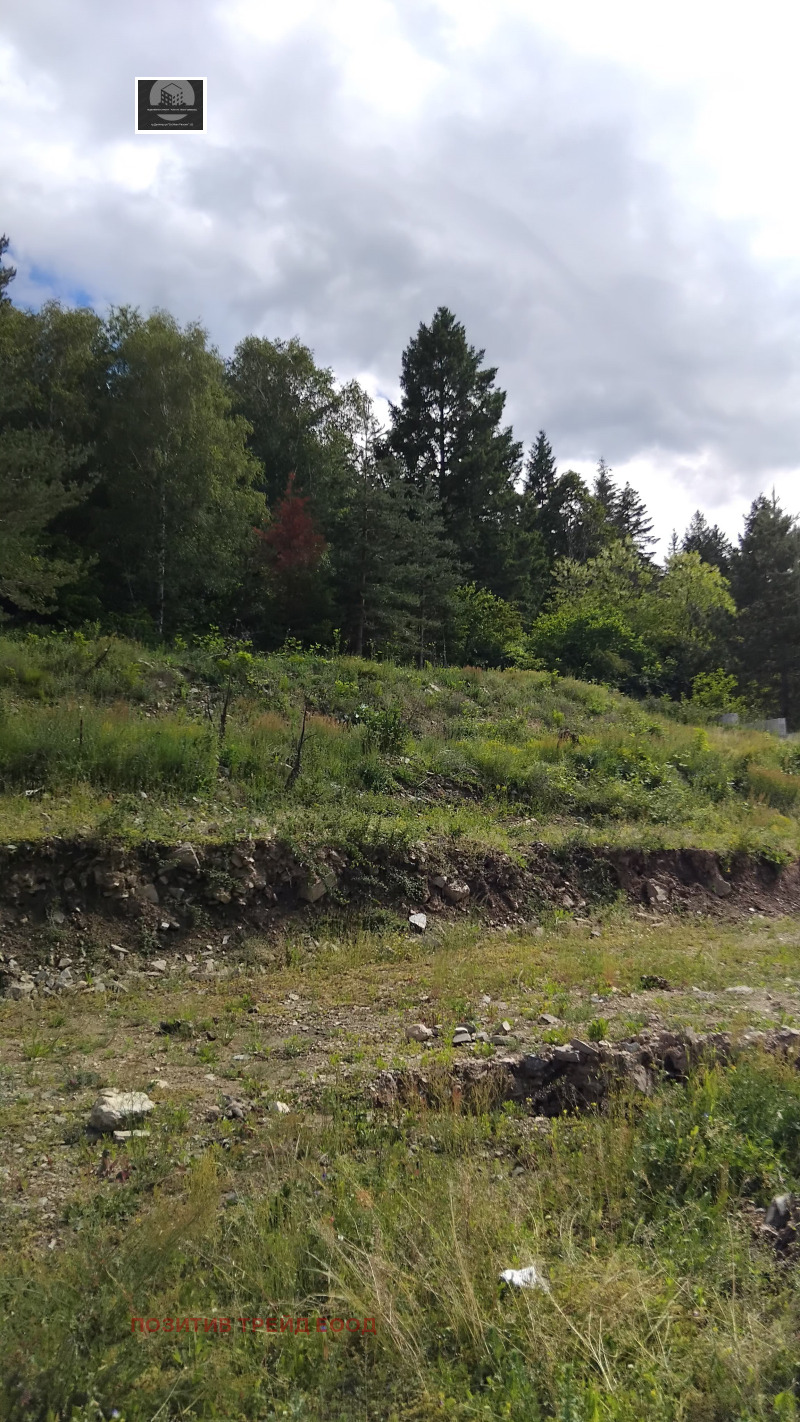 En venta  Trama región Kyustendil , Bistritsa , 485 metros cuadrados | 69671300 - imagen [3]
