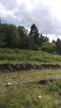 Продава ПАРЦЕЛ, област Кюстендил, с. Бистрица • 83000 лв. • 54861272 — Holmes.bg