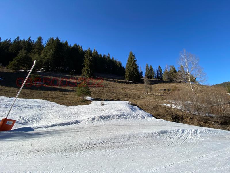 ������� ������ | Imot.bg � ����������� 10