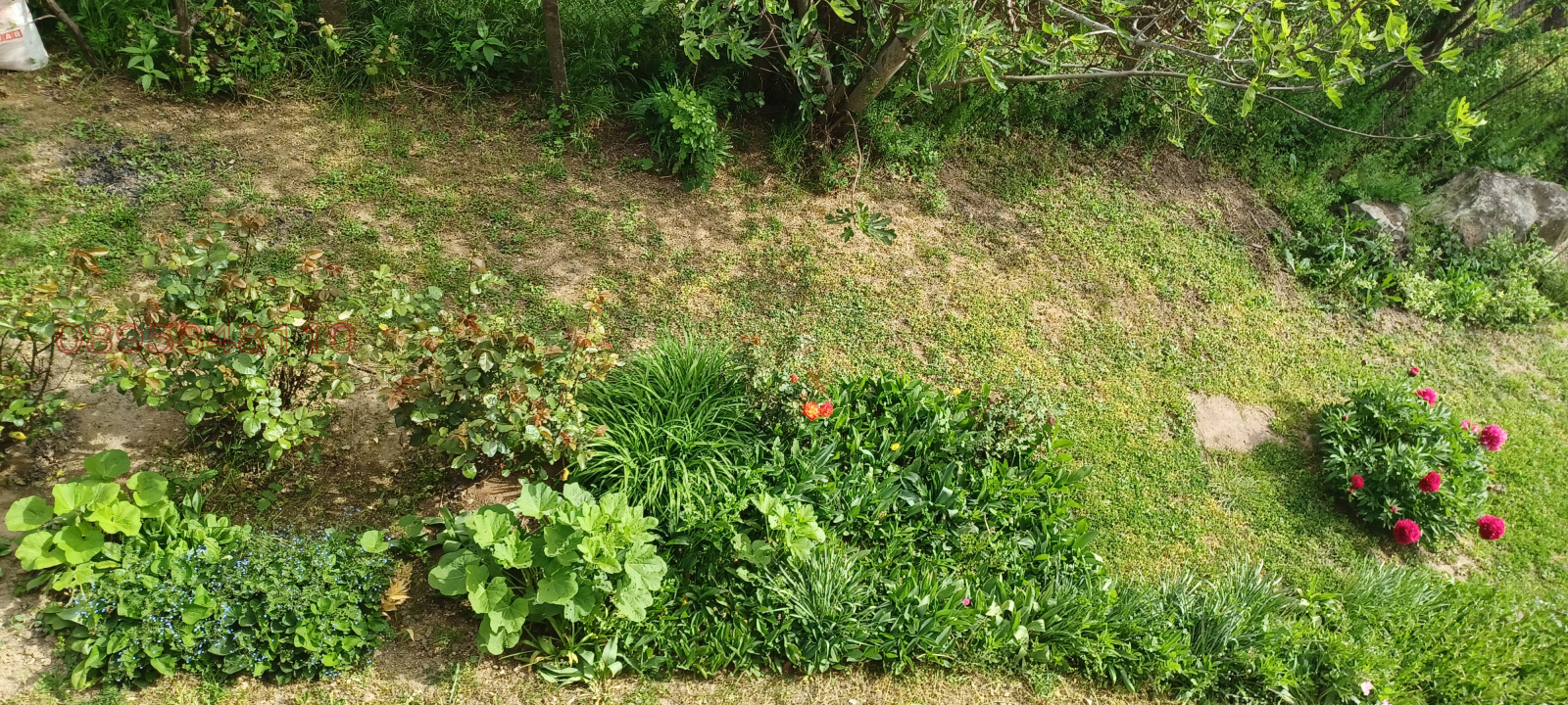 ������� ���� | Imot.bg � ����������� 8