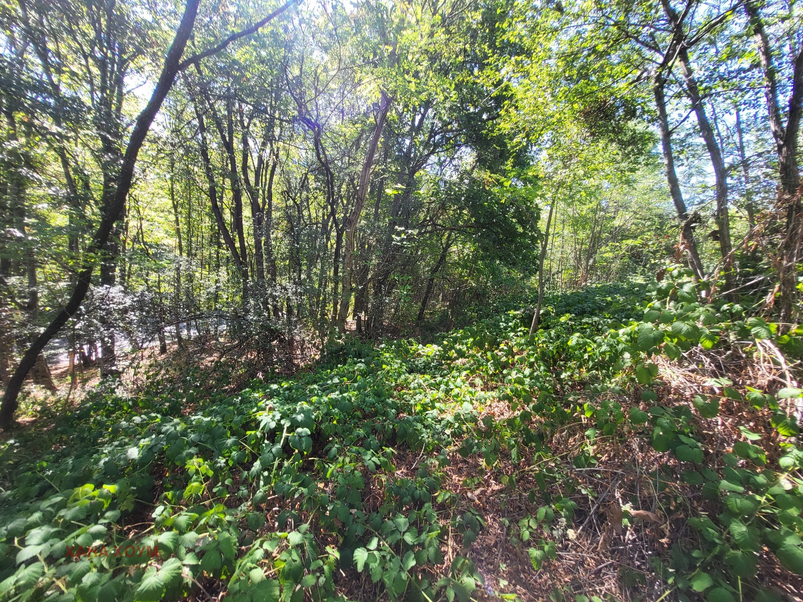 Продава ПАРЦЕЛ | Imot.bg — изображение 5