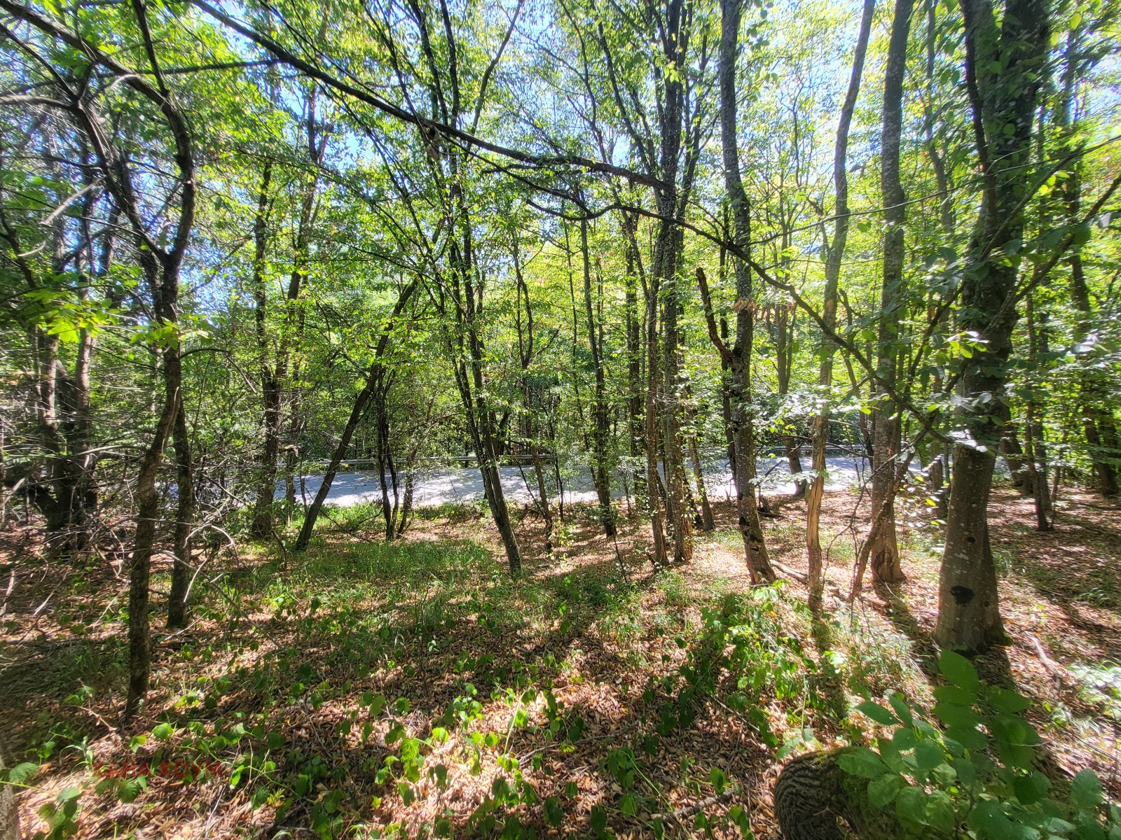 Продава ПАРЦЕЛ | Imot.bg — изображение 3