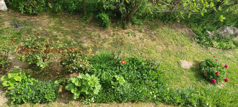 Продава КЪЩА, с. Шкорпиловци, област Варна, снимка 8 - Къщи - 52911900