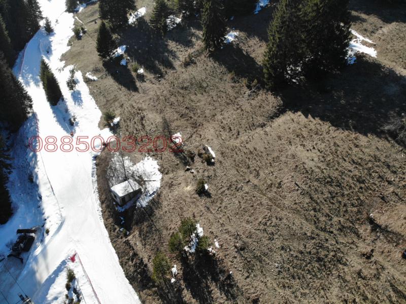 Продава ПАРЦЕЛ, гр. Чепеларе, област Смолян, снимка 7 - Парцели - 52905278