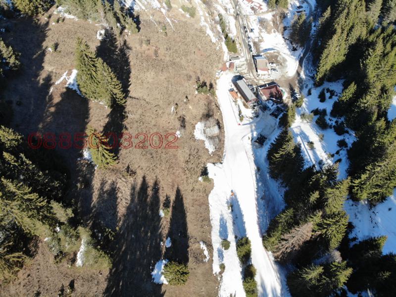 Продава ПАРЦЕЛ, гр. Чепеларе, област Смолян, снимка 9 - Парцели - 52905278