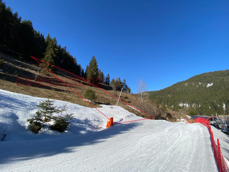 Продава ПАРЦЕЛ, гр. Чепеларе, област Смолян, снимка 4 - Парцели - 52905278