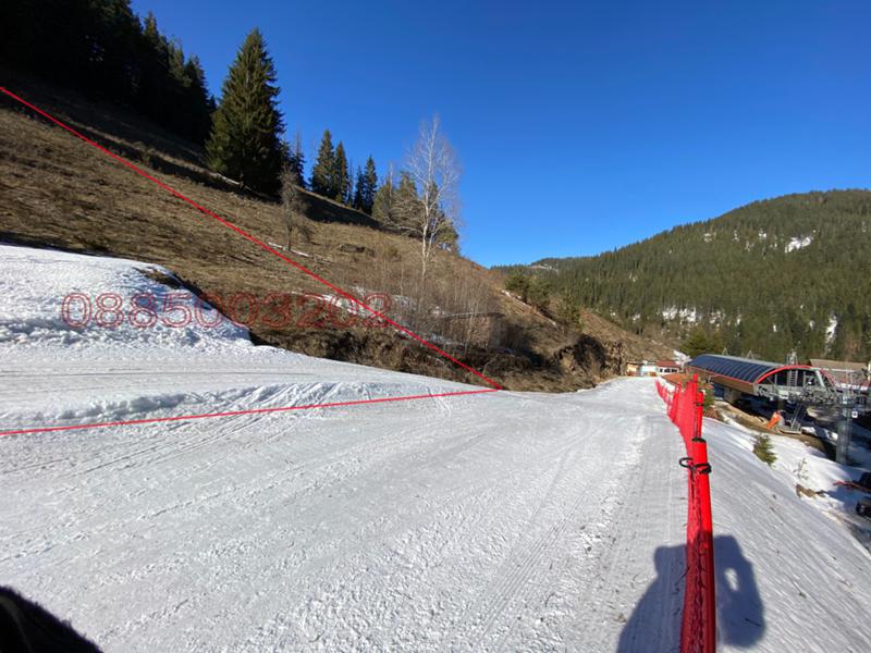 Продава ПАРЦЕЛ, гр. Чепеларе, област Смолян, снимка 5 - Парцели - 52905278