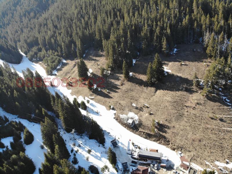 Продава ПАРЦЕЛ, гр. Чепеларе, област Смолян, снимка 8 - Парцели - 52905278