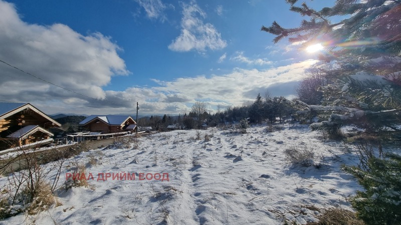 À vendre  Parcelle région Smolyan , k.k. Pamporovo , 1781 m² | 55965507 - image [5]