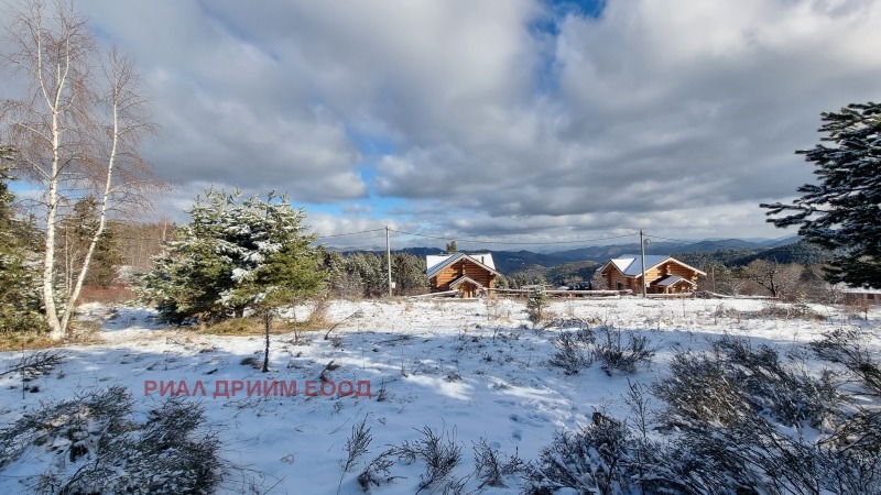 À vendre  Parcelle région Smolyan , k.k. Pamporovo , 1781 m² | 55965507