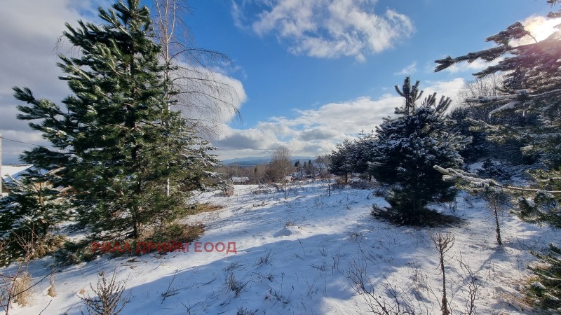 À vendre  Parcelle région Smolyan , k.k. Pamporovo , 1781 m² | 55965507 - image [4]