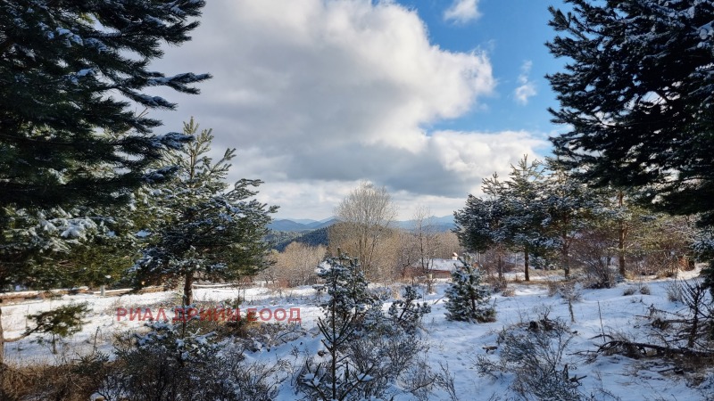 À vendre  Parcelle région Smolyan , k.k. Pamporovo , 1781 m² | 55965507 - image [2]