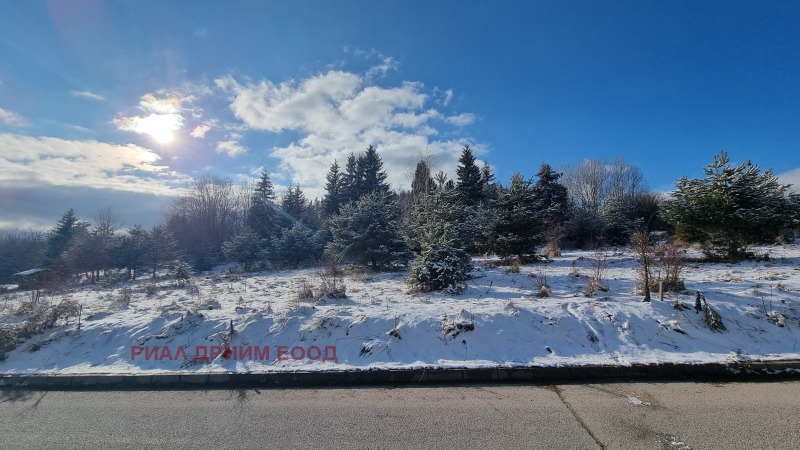 À vendre  Parcelle région Smolyan , k.k. Pamporovo , 1781 m² | 55965507 - image [8]