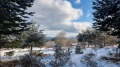 Продава ПАРЦЕЛ, к.к. Пампорово, област Смолян, снимка 2