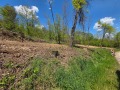 Продава ПАРЦЕЛ, с. Драшкова поляна, област Ловеч, снимка 6