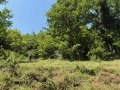 Продава ВИЛА, област Ловеч, с. Гложене • 38000 € • 37358725 — Holmes.bg