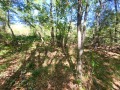 Продава ПАРЦЕЛ, област Ловеч, с. Драшкова поляна • 17900 € • 30111952 — Holmes.bg