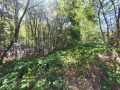 Продава ПАРЦЕЛ, област Ловеч, с. Драшкова поляна • 17900 € • 30111952 — Holmes.bg