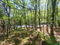 Продава ПАРЦЕЛ, област Ловеч, с. Драшкова поляна • 17900 € • 30111952 — Holmes.bg