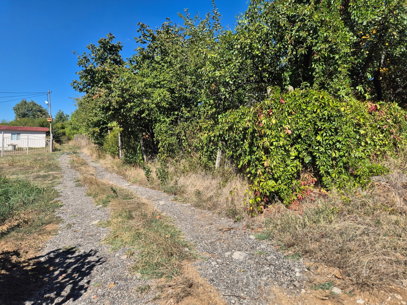 Продава ПАРЦЕЛ | Imot.bg — изображение 7